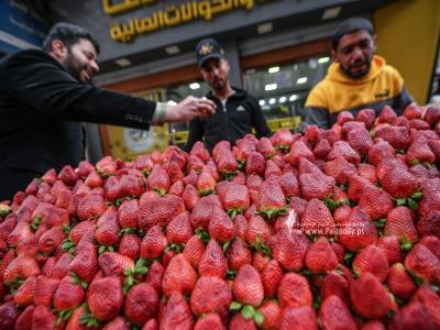 تناول كوب صغير من الفراولة يوميا يشكل مفاجئة لمرضى القلب | فلسطين اليوم