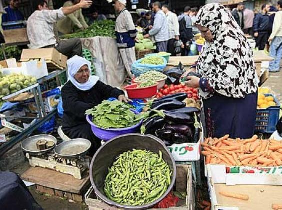 أسعار الخضروات والدجاج واللحوم في غزة اليوم الاثنين 28 نوفمبر 2022