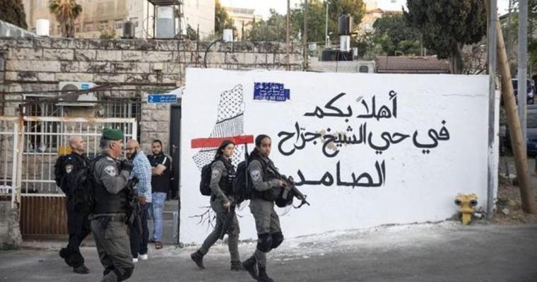 ارشيفية